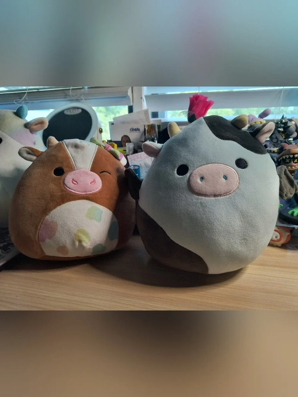 Squishmallow Cow Bundle